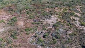 TBD HWY 81 - Photo 19