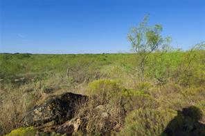 TBD HWY 81 - Photo 4