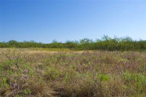 TBD HWY 81 - Photo 9