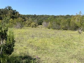 TBD County Road 386 - Photo 26