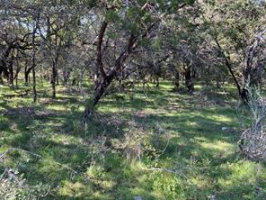 TBD County Road 386 - Photo 29