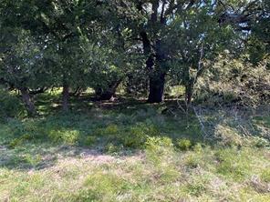TBD County Road 386 - Photo 32