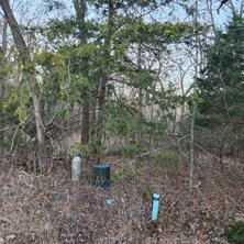 904 Hillburn Drive - Photo 2
