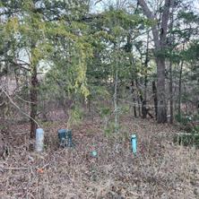 904 Hillburn Drive - Photo 3