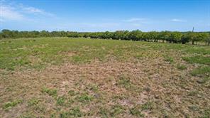 534 Deer Lane - Photo 8