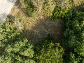 41073 Heartwood Circle - Photo 10