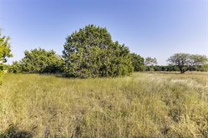 1644 White Bluff Drive - Photo 10