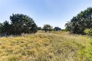 1644 White Bluff Drive - Photo 13