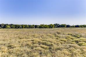 1644 White Bluff Drive - Photo 15