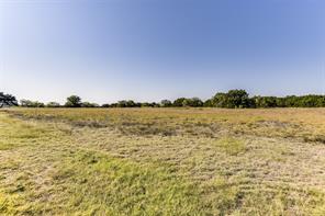1644 White Bluff Drive - Photo 5