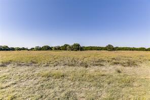 1644 White Bluff Drive - Photo 6