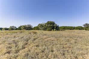 1644 White Bluff Drive - Photo 8