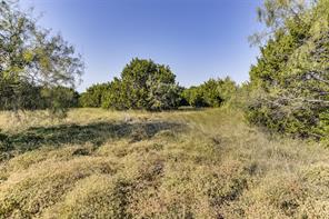 1644 White Bluff Drive - Photo 9