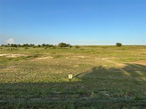 1029 Bear Creek Ranch Road - Photo 2