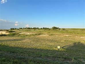 1029 Bear Creek Ranch Road - Photo 3