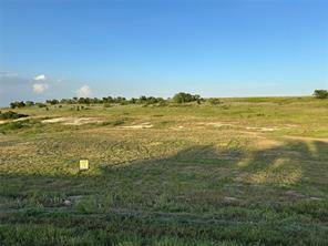 1029 Bear Creek Ranch Road - Photo 4