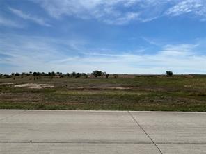 1029 Bear Creek Ranch Road - Photo 5