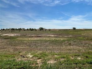 1029 Bear Creek Ranch Road - Photo 6