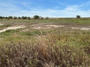1029 Bear Creek Ranch Road - Photo 7