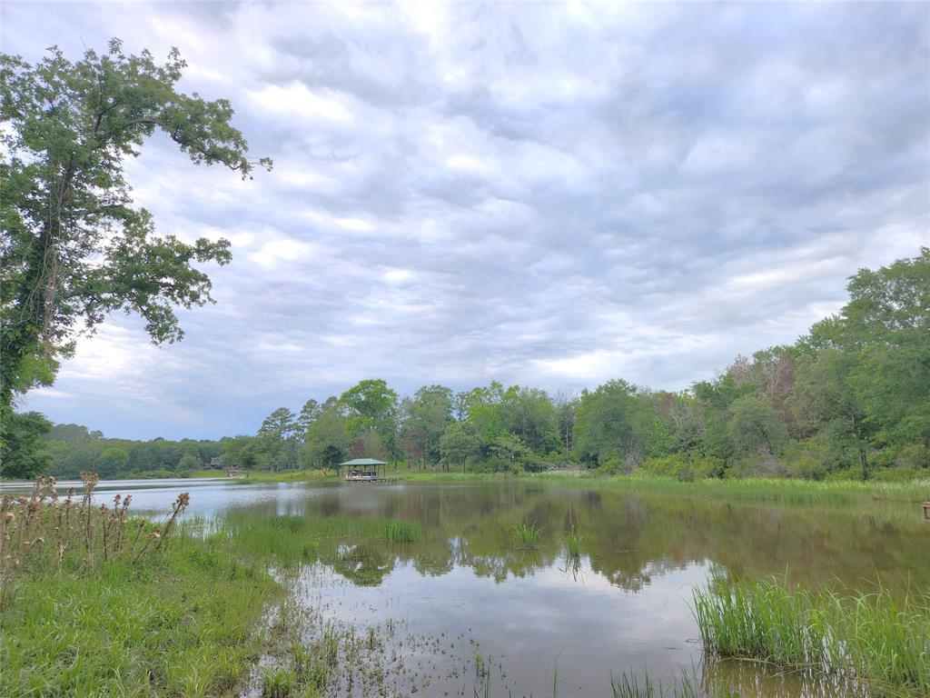 9042 Safari Bluff - Photo 1