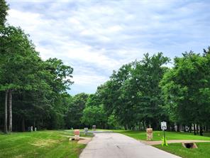 9042 Safari Bluff - Photo 10