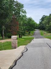 9042 Safari Bluff - Photo 11