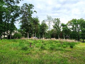 9042 Safari Bluff - Photo 12