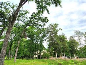 9042 Safari Bluff - Photo 14