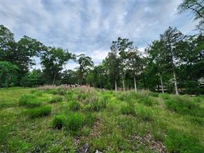 9042 Safari Bluff - Photo 16