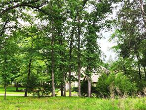 9042 Safari Bluff - Photo 17