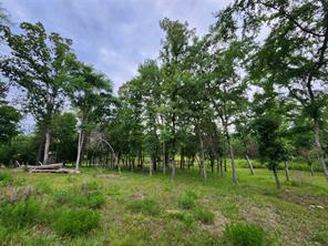 9042 Safari Bluff - Photo 21