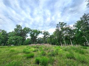 9042 Safari Bluff - Photo 22