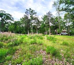 9042 Safari Bluff - Photo 23