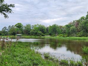 9042 Safari Bluff - Photo 24