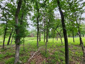 9042 Safari Bluff - Photo 25