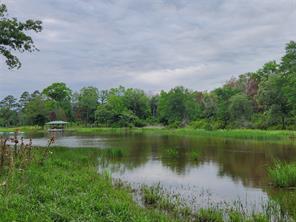 9042 Safari Bluff - Photo 26