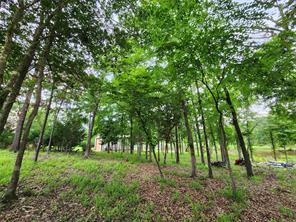 9042 Safari Bluff - Photo 27
