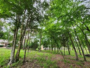 9042 Safari Bluff - Photo 28