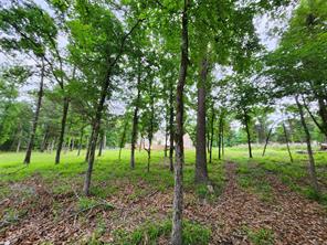 9042 Safari Bluff - Photo 30