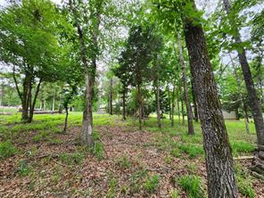 9042 Safari Bluff - Photo 32