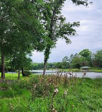 9042 Safari Bluff - Photo 35