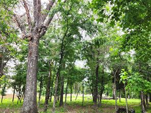 9042 Safari Bluff - Photo 38
