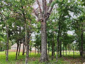 9042 Safari Bluff - Photo 39