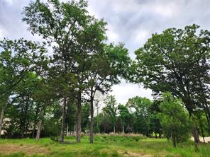 9042 Safari Bluff - Photo 4