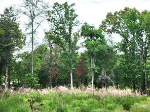 9042 Safari Bluff - Photo 5