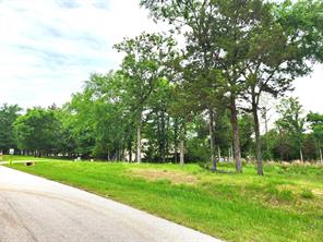 9042 Safari Bluff - Photo 6
