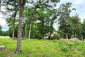 9042 Safari Bluff - Photo 7