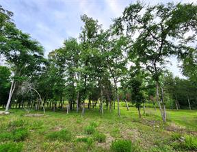 9042 Safari Bluff - Photo 9
