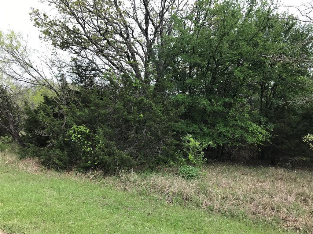 31037 Doe Run Court - Photo 1