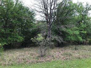 31037 Doe Run Court - Photo 3